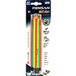 10 lu Kurun Kalem PNS.PE16300KLNEONS10LU Pensan