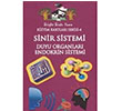 Sinir Sistemi Duyu Organlar Endokrin Sistemi Eitim Kartlar Serisi 4 Bright Brain Home