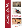 bretlik ykler Ayata Kitap