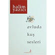 Avluda Ku Sesleri Halim Yazc Caz Kedisi Yaynlar