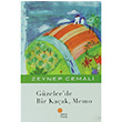 Gzelce`de Bir Kaak Memo Zeynep Cemali Gn Kitapl