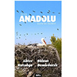 Buras Anadolu Kymetini Bilelim! Gita Yaynlar