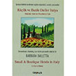 Kk ve Butik Oteller talya Small Boutique Hotels in Italy Barbara Baletta Sepya Yaynclk