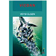 Vicdan Veysi lgen  El Yaynlar