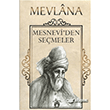 Mesneviden Semeler Dorlion Yaynlar
