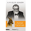 Aptal Tanmak Ali Mehmet Celal engr nklap Kitabevi
