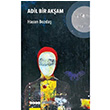 Adil Bir Akam Hasan Bozda Hece Yaynlar