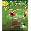 Yaam Dngs Yamur Ormanlar Sean Callery Baheehir Yaynlar