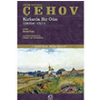 Krlarda Bir Gn Anton Pavlovi ehov letiim Yaynevi