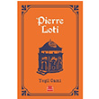 Yeil Cami Pierre Loti Krmz Kedi Yaynevi