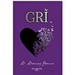Gri S Setenay Bircan Sokak Kitaplar Yaynlar