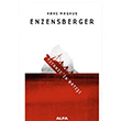 Titanicin Bat Hans Magnus Enzensberger Alfa Yaynlar