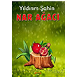 Nar Aac Yldrm ahin Ayata Kitap
