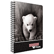 Wild Notes Spiralla Sert Kapak 120 Yaprak izgili Defter Gpta