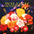 Wilder Teardrop Explodes