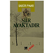 Şiir Ayaktadır Babür Pınar Nitelik Kitap