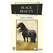 Black Beauty Dorlion Yaynevi