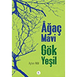 Aa Mavi Gk Yeil Ayhan Hilal Gezer Kule Kitap