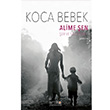 Koca Bebek Alime ahin Artikel Yaynclk