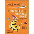 Tekir Kedi ile Krlang Hanm Jorge Amado Krmz Kedi Yaynevi