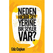 Neden Hibir ey Yerine Bir eyler Var? Ediz okun Cinius Yaynlar