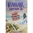 Bahar Mektuplar Sahibine Ulamayan Mektuplar Gndz Aydn Ay Yaynlar