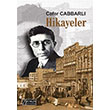 Hikayeler Cafer Cabbarl  Zengin Yaynclk