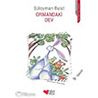 Ormandaki Dev Can ocuk Yaynlar