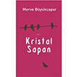 Kristal Sapan Merve Büyükçapar Şule Yayınları