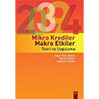 Mikro Krediler Makro Etkiler Teori ve Uygulama Gnl Yce Dora Basm Yayn