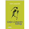 arlmayan Yakup Edip Cansever Yap Kredi Yaynlar