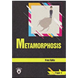 Metamorphosis Stage 4 Franz Kafka Dorlion Yaynevi