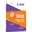 6. Snf Trke reten Akll Soru Bankas Puan Yaynlar