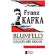 Blumfeld Gekin Bir Bekar Franz Kafka Pergole Yaynlar