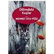 Dilimdeki Kular Mehmet Ata Yaz Artshop Yaynclk
