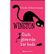 Winston 1: Gizli Grevde Bir Kedi Frauke Scheunemann Epsilon Yaynlar