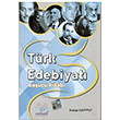 Trk Edebiyat Baucu Kitab Hakan akmak Endemik Yaynlar