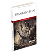 Frankenstein MK Publications