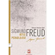 Kitle Piskolojisi Sgmund Freud Cem Yaynevi