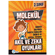 2. Snf Molekl Akl ve Zeka Oyunlar Molekl Yaynlar