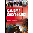 alma Sosyolojisi Nobel Yaynlar