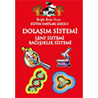 Feni Sevdiren Kartlar Dolam Sistemi Bright Brain Home