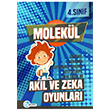 4. Snf Akl ve Zeka Oyunlar Molekl Yaynlar