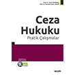Ceza Hukuku Pratik almalar Sekin Yaynevi