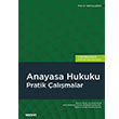 Anayasa Hukuku Pratik almalar Sekin Yaynevi