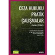 Ceza Hukuku Pratik almalar Sekin Yaynevi