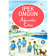Afacanlar etesi Artemis Yaynlar