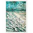 Sonbahar Karl Ove Knausgaard MonoKL