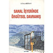 Sanal yerinde rgtsel Davran Ali Deniz Akkirman Alfa Aktel Yaynlar
