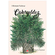 akryldz Zeytin ykleri Hsmen Solmaz Ekin Yaynevi